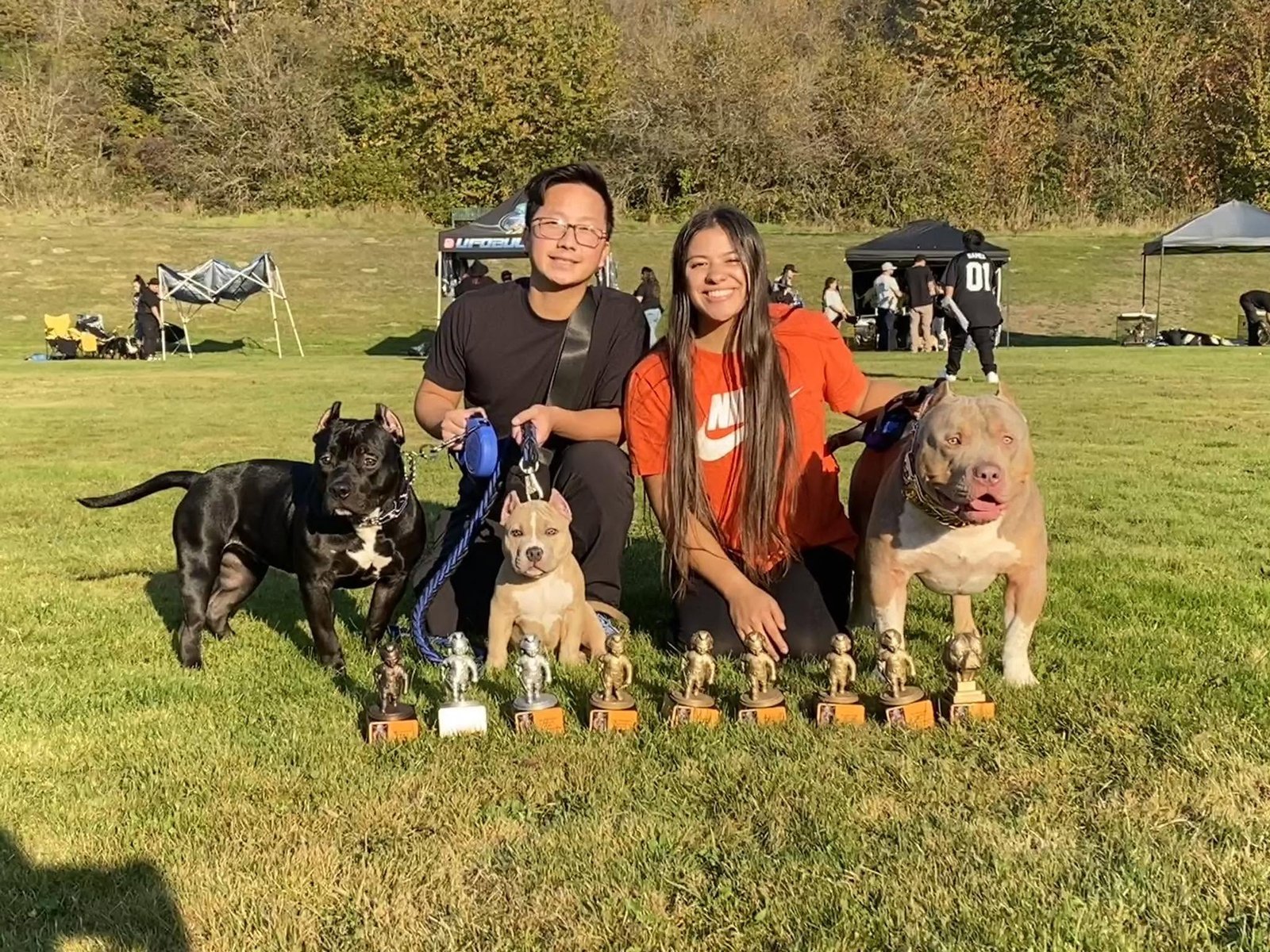 Lifetime Bully dogs with their show trophies