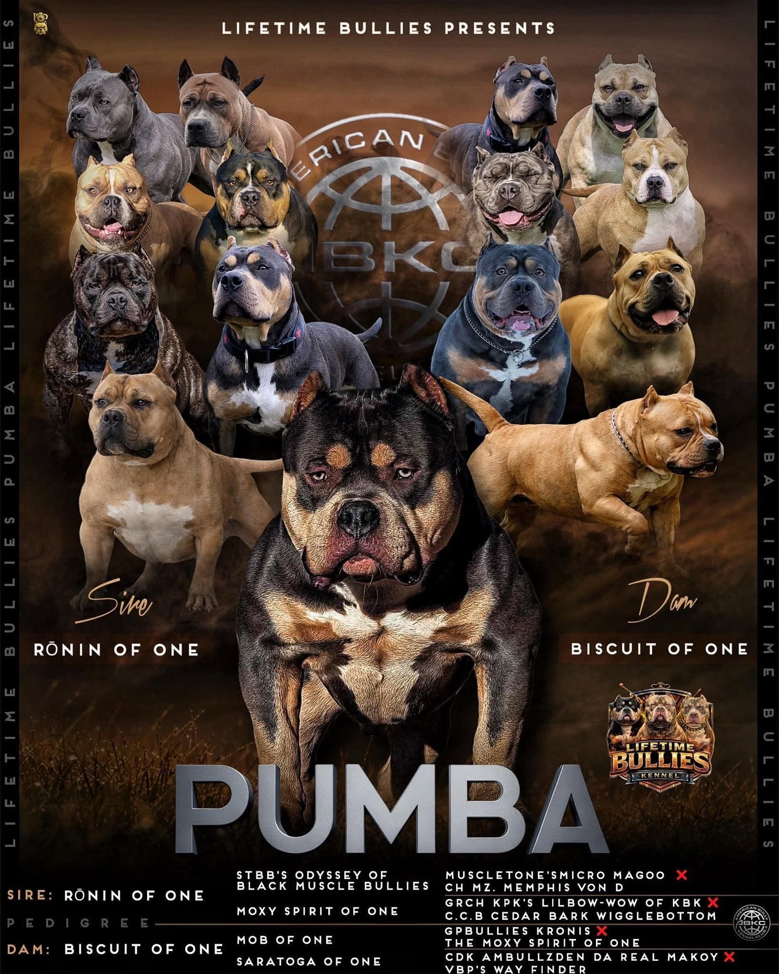Lifetime Bully bloodlines